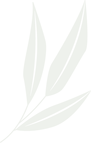 Folha Decoração - Raquel Antoniette