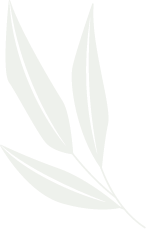 Folhas 2 - Raquel Antoniette