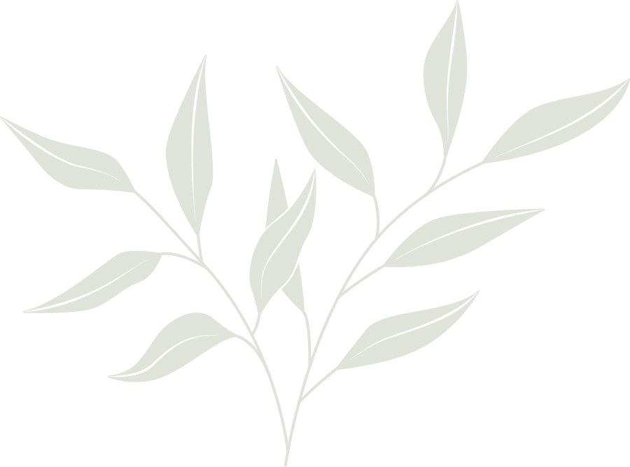 Flor background - Raquel Antoniette