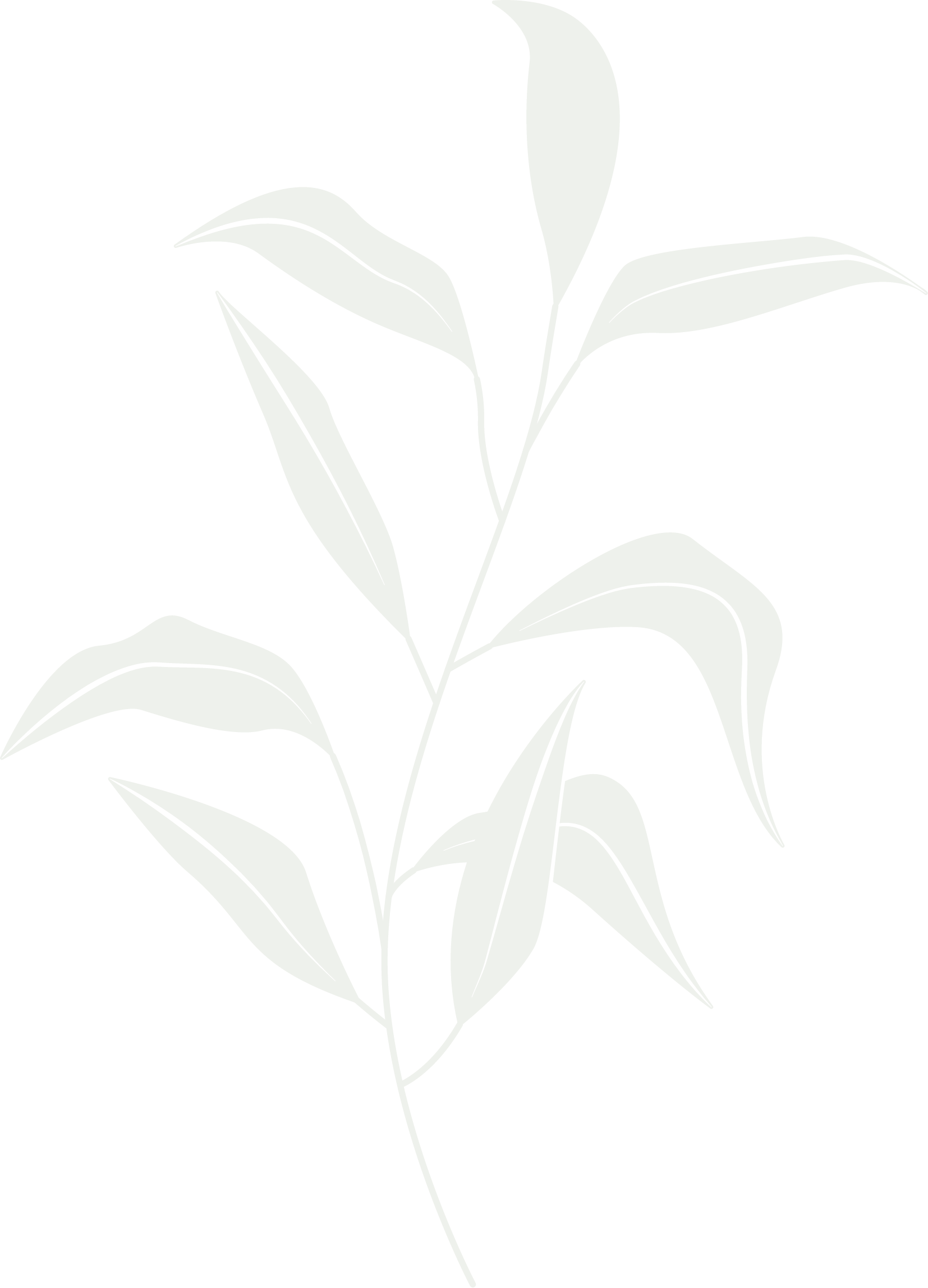 Flor WhatssApp - Raquel Antoniette