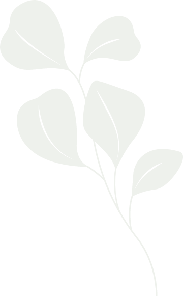 plantas e folhas - curso empresarial whatsapp