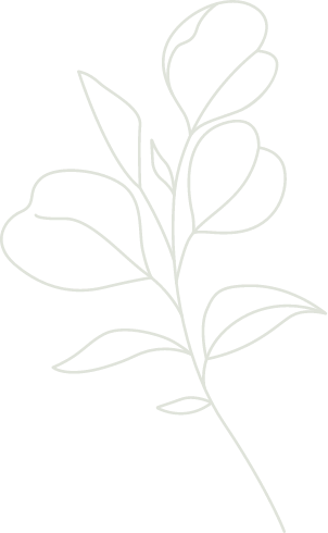 Imagem de Background